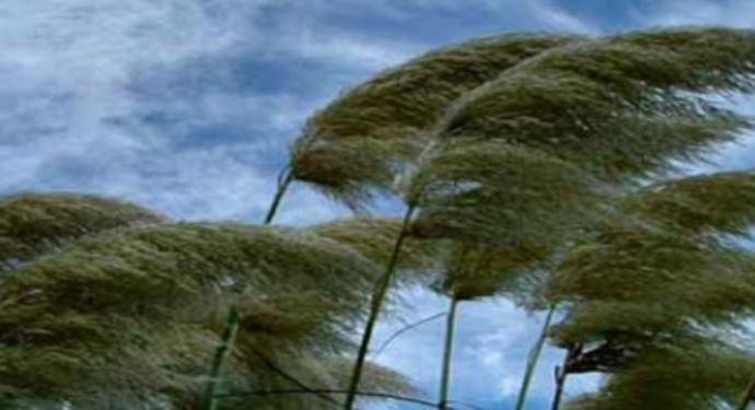 Güclü külək əsəcək – ŞƏNBƏ GÜNÜNÜN HAVA PROQNOZU