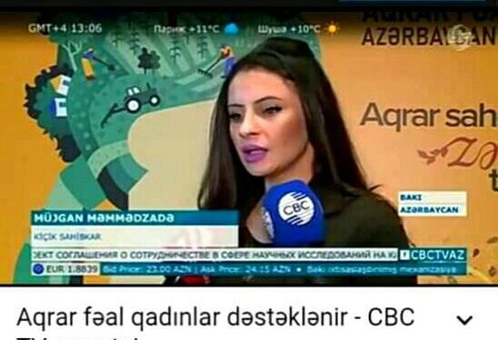 Bildirçin yumurtasından hazırlanan Suşi resepti(tam versiya).