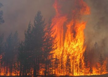 Türkiyə niyə aciz durumda qalıb?… Nə baş verir?… Ermənistanda toy bayramdı…VİDEO.