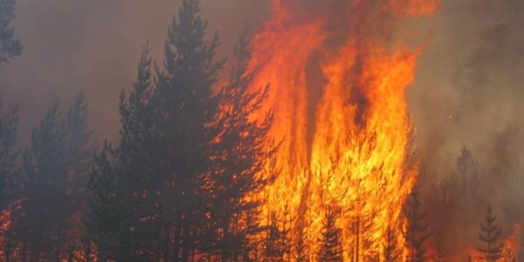 Türkiyə niyə aciz durumda qalıb?… Nə baş verir?… Ermənistanda toy bayramdı…VİDEO.