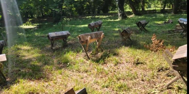 Bu cənnət guşəsini görməyə dəyər… Həm zövq,həm istirahət… VİDEO.